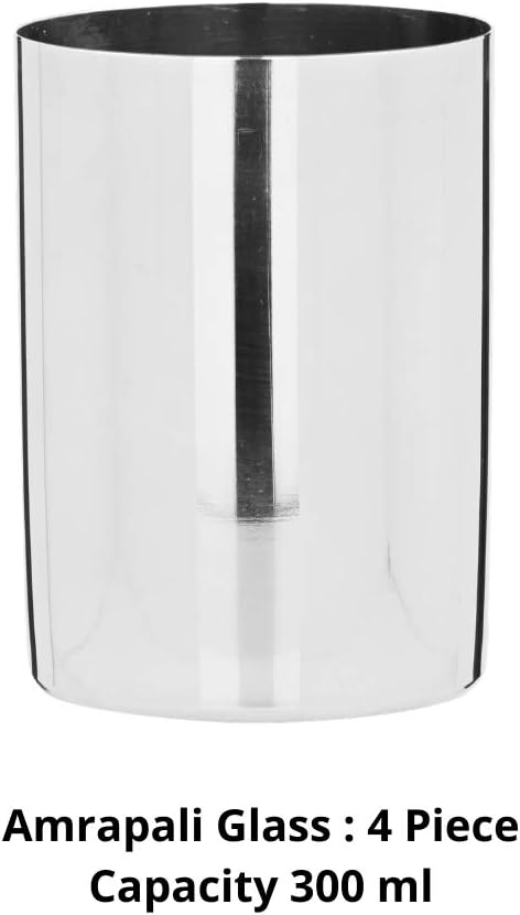 Vinod Stainless Steel 24 Piece Dinner Solid Set for Four Persons