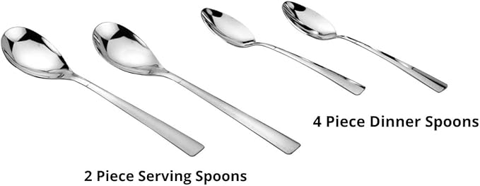 Vinod Stainless Steel 24 Piece Dinner Solid Set for Four Persons