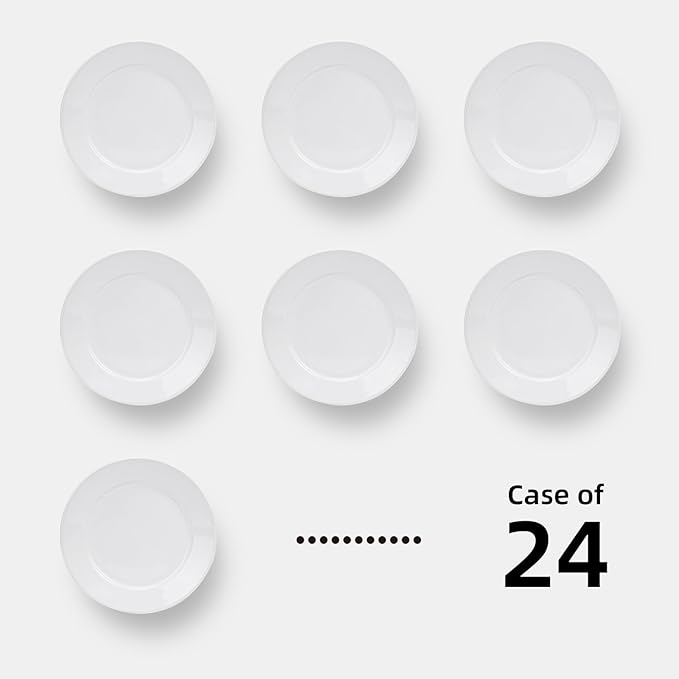 Stoneware Wide Rim Commercial Grade Dinnerware Bright white Salad Plate 8.25 Case of 24