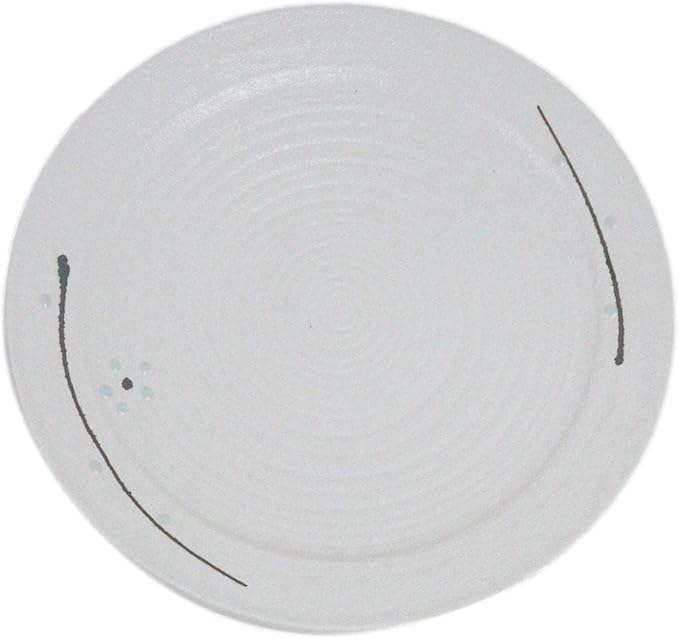 Ebros Gift Modern Yukino Hana Snow Flowers Ceramic Dinnerware Serveware Kitchenware Set Oriental Asian Restaurant Supply (Pack Of 5 Large Round Dinner Plates 10D)