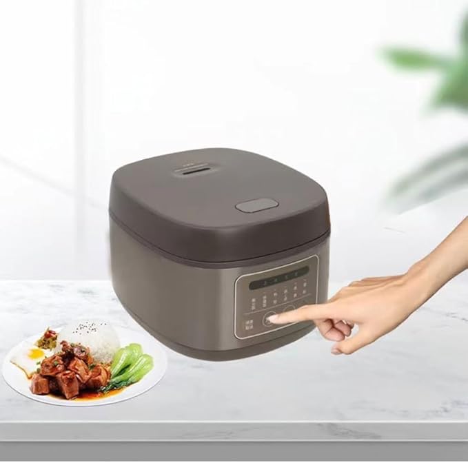 Electric Rice Cooker Household 5L Multifunctional Firewood Appointment Small Steamed