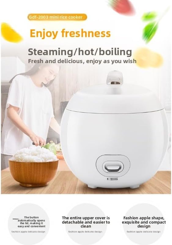 Small Mini Household Rice Cooker 2L