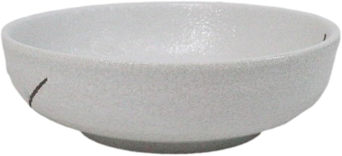Ebros Gift Modern Yukino Hana Snow Flowers Ceramic Dinnerware Serveware Kitchenware Set Oriental Asian Restaurant Supply (Pack Of 5 Soup Salad Rice Shallow Bowls Deep Plates 10oz)