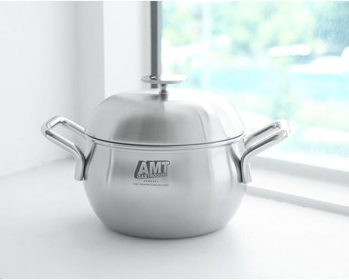 Withmolly316Ti Titanium Stainless Steel Stockpot rice cooker with Lid 6.2in/16cm