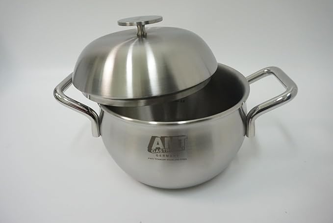 Withmolly316Ti Titanium Stainless Steel Stockpot rice cooker with Lid 6.2in/16cm