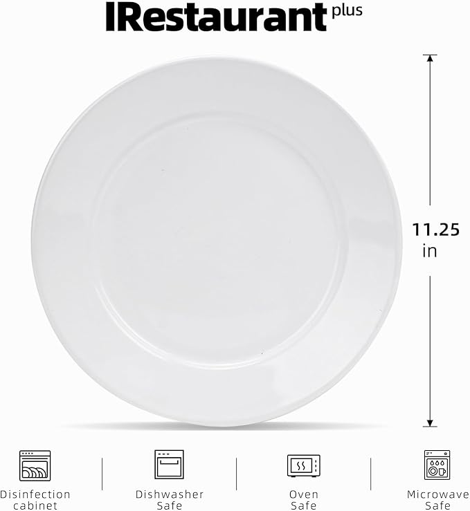Stoneware Wide Rim Commercial Grade Dinnerware Bright white Dinner Plate 11.25 Case of 12