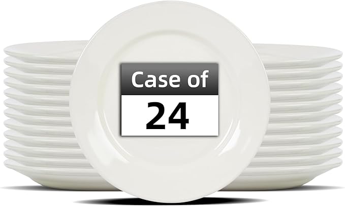 Stoneware Wide Rim Commercial Grade Dinnerware America White Plate 9 Case of 24