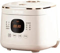 Rice Cookers Mini Smart Rice Cooker Multifunctional Adjustable Electric Cooker 2L Capacity for 1-4 People Rice Maker