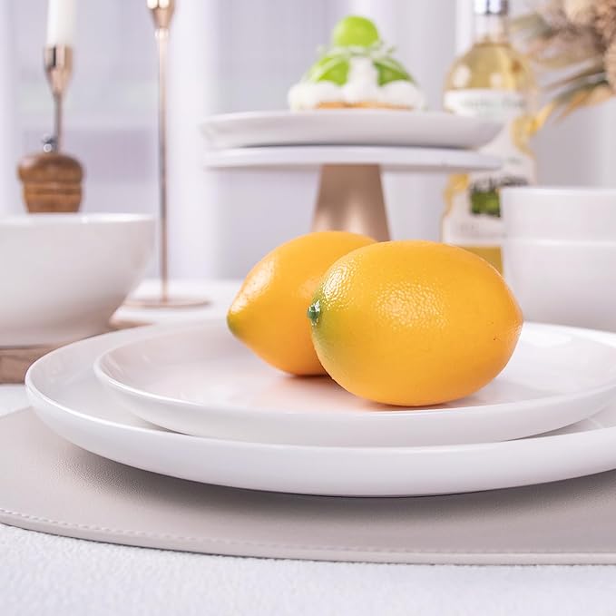 Anveena Dinnerware Set for 4 12 Piece Plates and Bowls Set White Porcelain Dish Set Microwave Safe Dishwasher Safe Chip Resistant for Everyday Dining