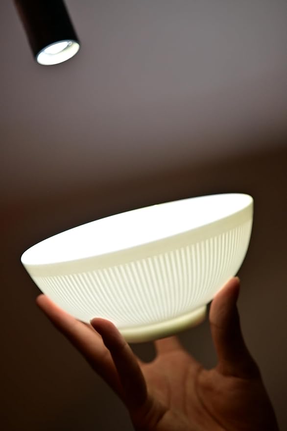 Dandilion Bone China Dinnerware Set 16 Pieces Service for 4 Plates Dishes Bowls Set Microwave and Dishwasher Safe Ivory White with Radial Lines
