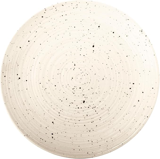 Sango Siterra Painter's Palette 20-Piece Stoneware Dinnerware Set – Service for 4 Multicolor with Unique Flecked Design Perfect for Everyday Dining &amp Entertainment Microwave &amp Dishwasher Sa