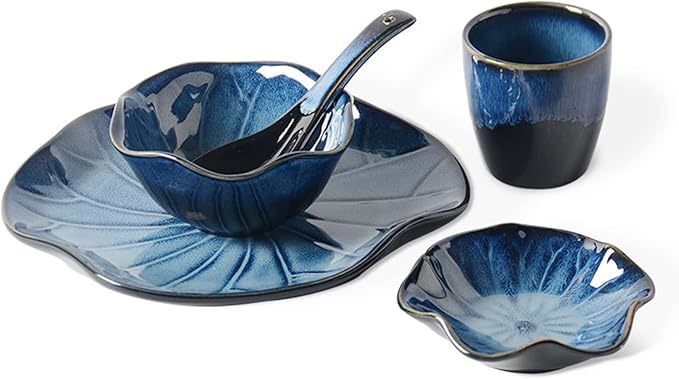 Dinnerware Set Service for 4 20-Piece Porcelain Dinnerware Sets Tableware Kitchen Dinner Set - Plates and Bowls Sets for 4 Reactive Glaze