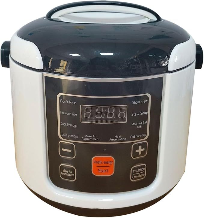AUNMAS Mini Rice Cooker 2L Small Electric Travel Steamer with Steam Tray Keep Warm Function Portable for Car Truck Home (12V)