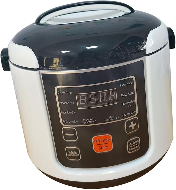 AUNMAS Portable Rice Cooker 2L Small Electric Travel Steamer with Steam Tray Keep Warm Function Compact Food Warmer for Car Truck Home (24V)