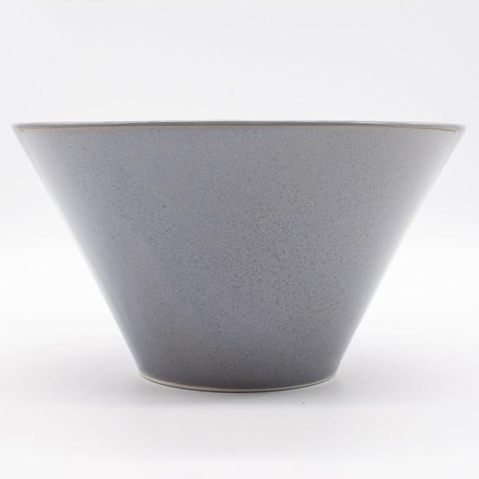 Aito Aito Seisakusho Natural Color Dinnerware Set Dishwasher-Safe Microwave Safe Ramen Donburi Large Diameter Approximately 6.7 x Depth 3.7 inches (17 x 9.4 cm) Mino Ware Stylish Bowl Plate