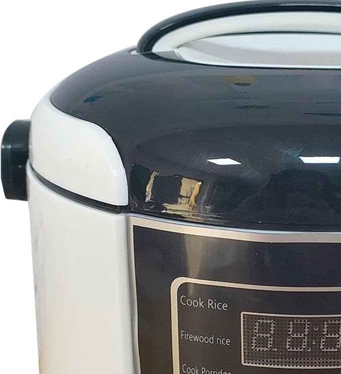 2L Mini Rice Cooker 2-4 People Travel Rice Maker with Removable Nonstick Pot Steaming Basket Measuring Cup Rice Paddle for Car Road Trip Camping (12V)