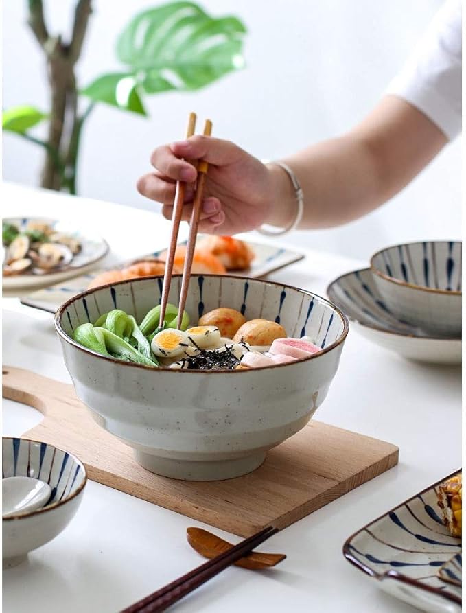 Elegant Dinnerware Set Dinner Plates Bowls Set Reactive Glaze Dinnerware Set Plates Dishes Bowls Best For Indoor And Outdoor PartyA