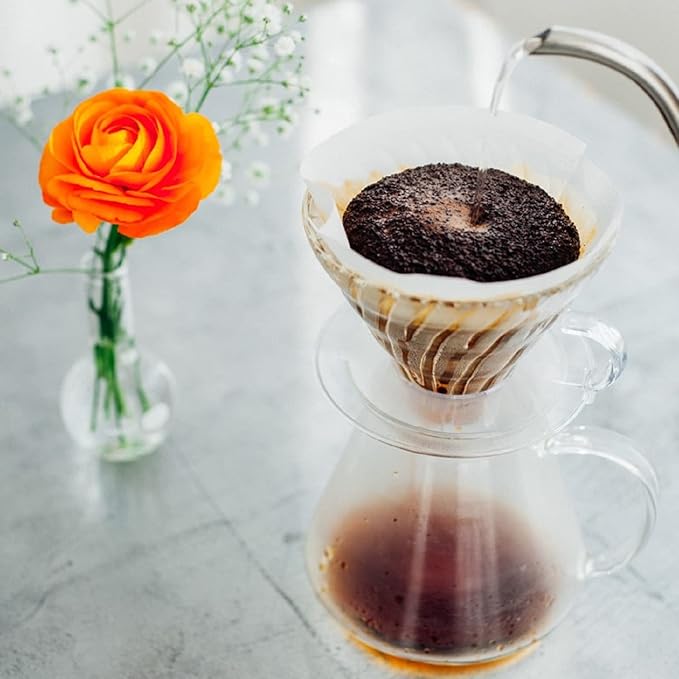 Hario Simply Hario V60 Glass Pour Over Coffee Set Size 02