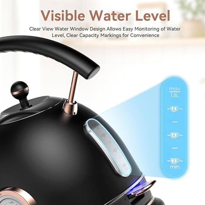 Rasonic Retro Electric Kettle Stainless Steel 1.8L Tea Water Boiler 1500W Fast Quiet Boil Temperature Gauge Auto Shut-Off Boil-Dry Protection Matt Black and Rose Gold