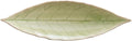 Costa Nova Riviera Collection Elegant Dinnerware Set Stoneware Laurel Leaf French Green (Light Green) 18 cm 6 Pieces