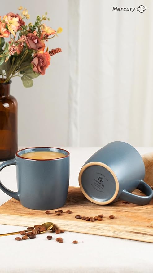 Famiware Venus Dinnerware Sets and Mercury Coffee Mugs Set of 4 16 Pieces Plates and Bowls Sets Microwave and Dishwasher Safe Charcoal