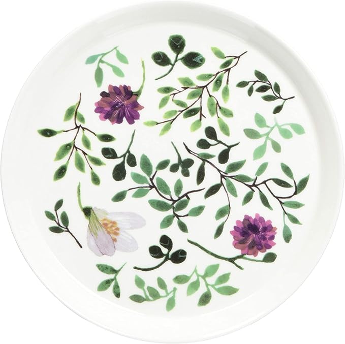 Narumi 96604-23163P Anna Emilia Plate Set 6.3 inches (16 cm) Green Set of 2 Patterns Cute Microwave Heater Dishwasher Safe Gift Box Included