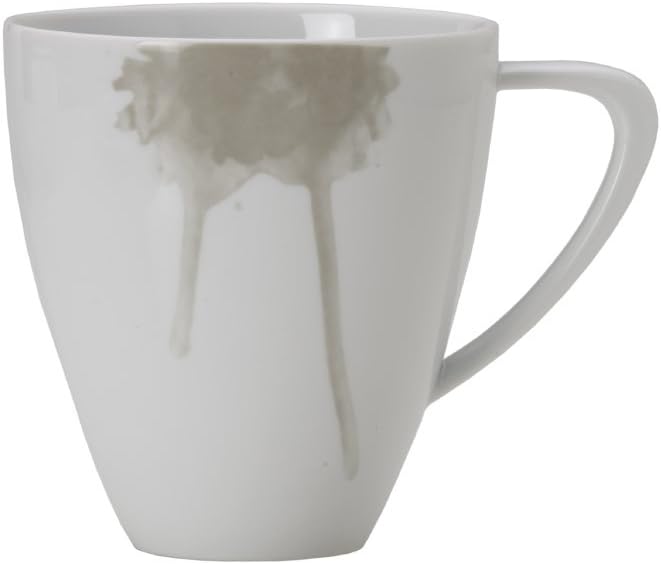 Mikasa 4 Piece Place Setting Dinnerware Set Kiora