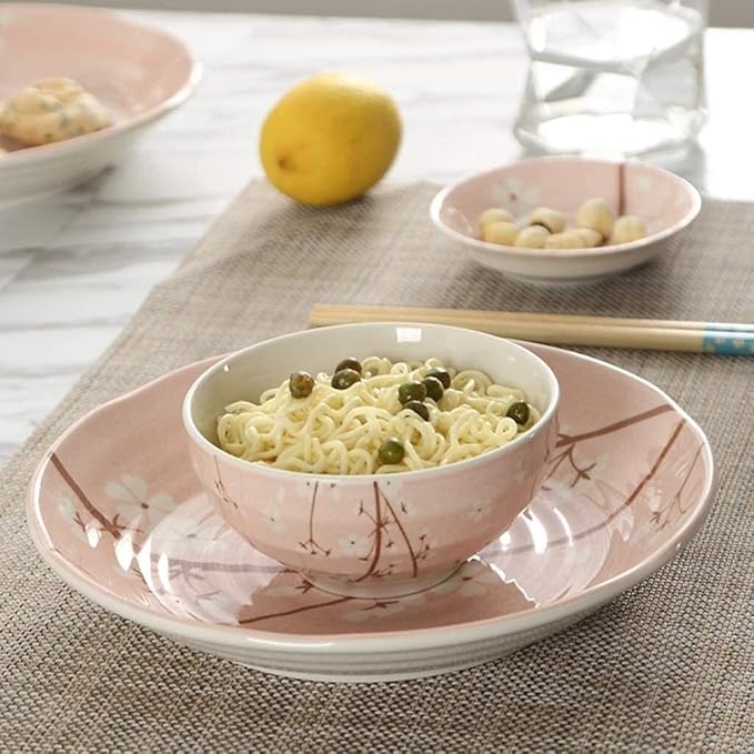 Porcelain Dinnerware Sets Plates and Bowls Sets Fine Porcelain Kitchen Dinnerware Set Plates Dishes Bowls The Best Gift for Family and Friends