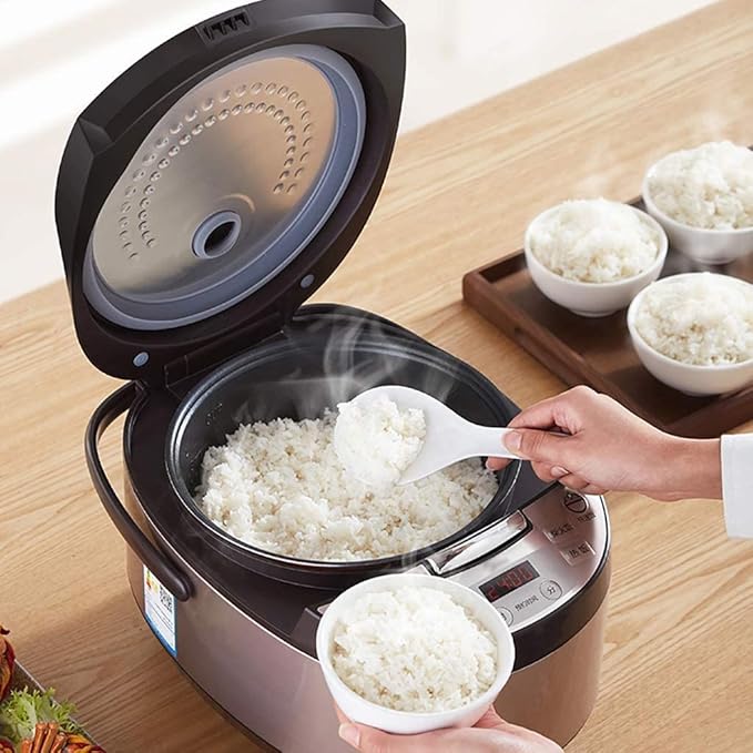 Rice Cooker Household 24 s Appointment 5L-860W Smart Insulation Multifunctional Rice Cooker with Steamer for 5-8 People