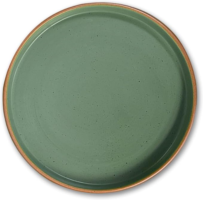 Artesa Organics Landscape Terrario Ceramic Dinnerware Set Handmade 6-Piece Place Setting with Dinner Plates Salad Plates Mugs Microwave Safe