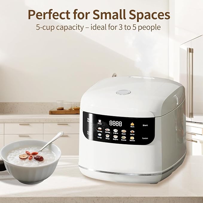 NUNET Electric Mini Rice Cooker 5 Cups Small Rice Cooker Portable 10-in-1 Smart Multi-Functional Cooker Time Control 400W for Soup Mixed Grain Rice Oatmeal Porridge w. Non-Stick Inner Pot (White)