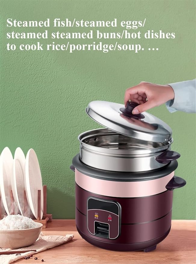 Multi-Function Rice CookerMini Electric Rice Cooker with Keep Warm Function Multicooker/Food Steamer Inner Container Dishwasher-Safe Non-Stick(4L)