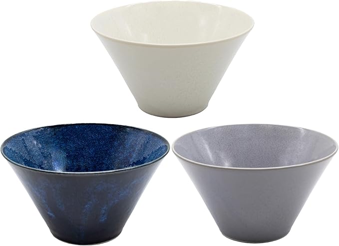 aito Seisakusho Natural Color Dinnerware Set Dishwasher-Safe Microwave Safe Ramen Donburi Large Diameter Approx. 6.7 x Depth 3.7 inches (17 x 9.4 cm) Mino Ware Stylish Bowl Plate Rice Bowl