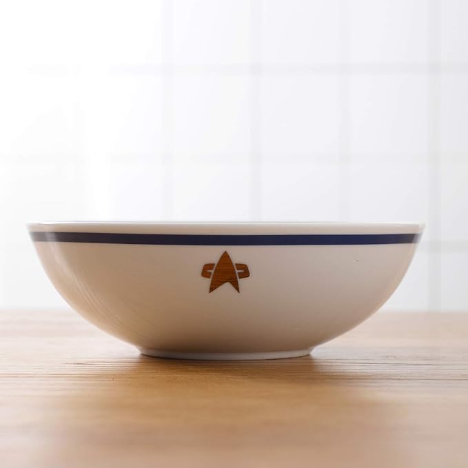 Star Trek The Next Generation Porcelain 16 Piece Dinner Set Includes Plates Bowls and Cups