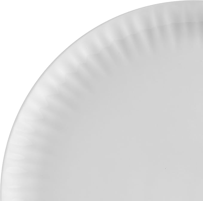 Mikasa Franklyn Bone China Chip Resistant 12 Piece Dinnerware Set Service for 4