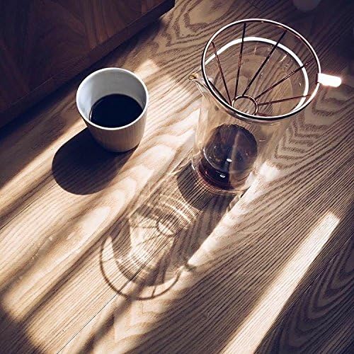 Pour Over Coffee Dripper and 2 Cup Carafe by Toast Living - 300 ML Double Vacuum Insulated Boro-silicate Glass Coffee Carafe Set with Copper Wire Funnel for Premium Coffee (10 oz)
