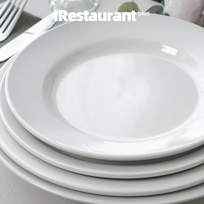 Stoneware Wide Rim Commercial Grade Dinnerware Bright white Dinner Plate 11.25 Case of 12