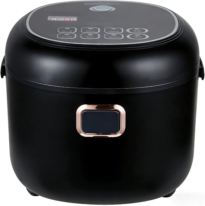 Mini Rice Cooker 2L Electric Lunch Box Food Heater 12V/24V Portable Non-Stick Travel For Car Truck Small Rice Cooker with Steam Tray Cooking Heating and Keeping Warm Function(Black)