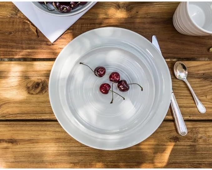 16-Piece Dinnerware Set Plates and Bowls Sets Dishes Dinner Salad Dessert