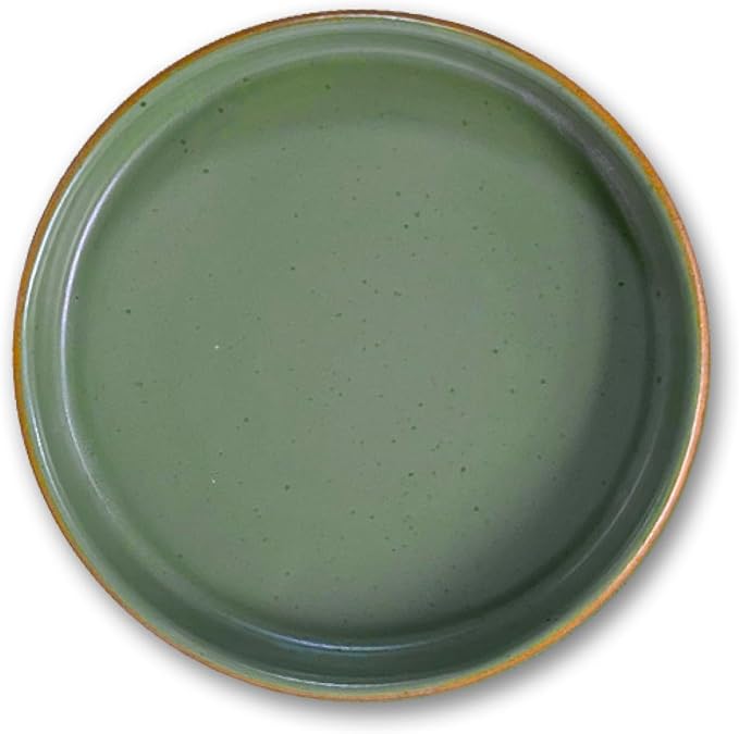 Artesa Organics Landscape Terrario Ceramic Dinnerware Set Handmade 6-Piece Place Setting with Dinner Plates Salad Plates Mugs Microwave Safe