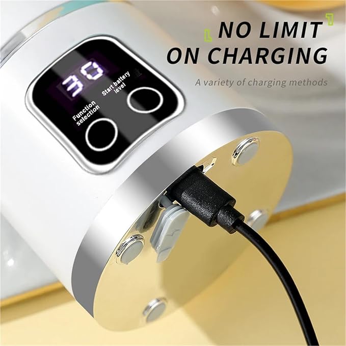 Portable Fruit Juice Blender Small Electric Juicer 12 Blade Head Juicer Cup Mixer Machine Smoothies Blender Compatible With Home 3000mAH(Silver)