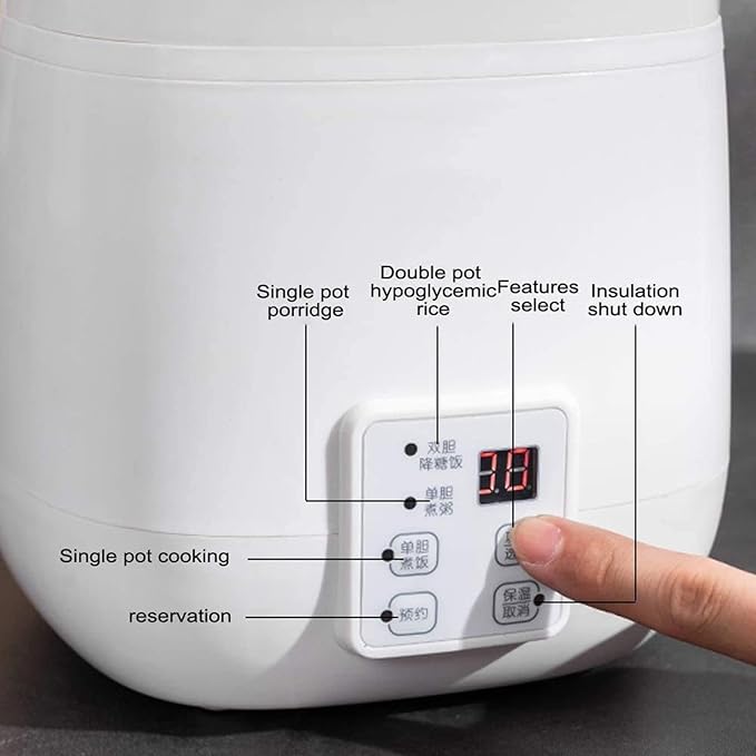 MZBDYYF Low Sugar Removing Mini Rice Cooker - Small Hunger Slow Cooker with Stainless Steel Pot Steamer Timer