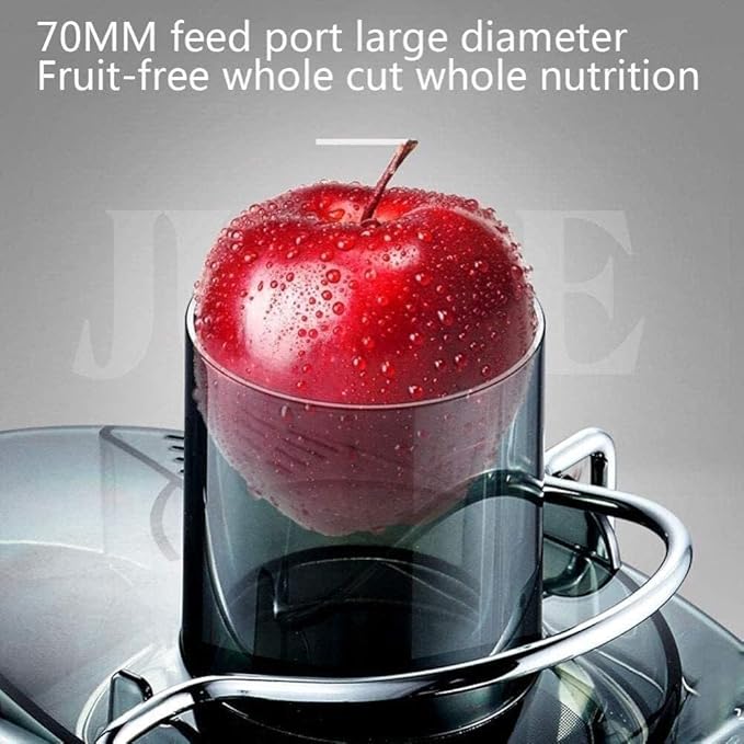 Multifunctional Electric Juicer Extractor Cold Press Juicer with 2-Speed Control 600ml 250W BPA-Free
