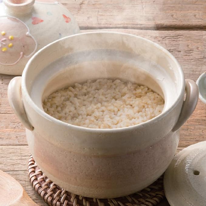 Earthenware Clay Rice PotJapanese Stone Rice CookerStove Stew PotHot PotCeramic Casserole with LidHeat Resistant Stock Pot for Steam Simmering F 2l (B 1L)
