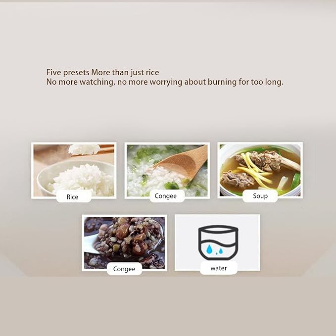 12V Car Rice Cooker 2L Capacity with Steaming Plate Food Warmer for Travel Trucks Multifunction Auto Cooker Non Stick Pot Portable