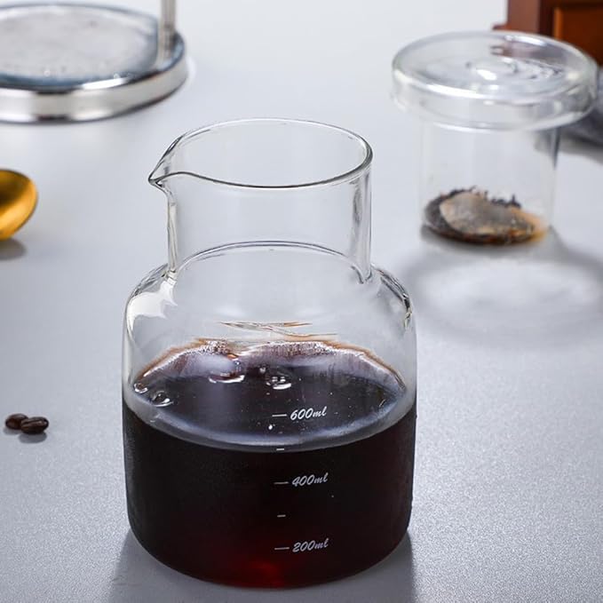 Cold Brew Coffee Maker 20OZ Iced Slow Drip Coffee Brewer Easy to Use and Clean Borosilicate Glass and Metal Base (Silver)