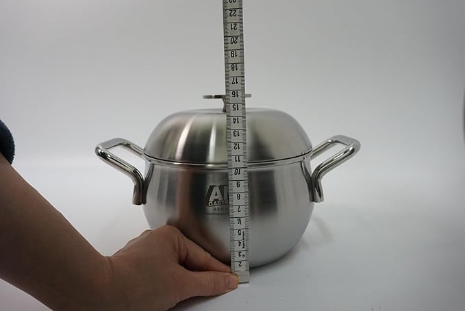 Withmolly316Ti Titanium Stainless Steel Stockpot rice cooker with Lid 6.2in/16cm