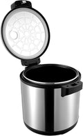 Commercial Rice Warmer 19L/20Qt 110W Electric Rice Warmer Non-Stick Food Warmer Pot with Rice Scoop Adjustable Temperature Soup Warmers Sushi Rice Warmer for Restaurant Party Family 110V
