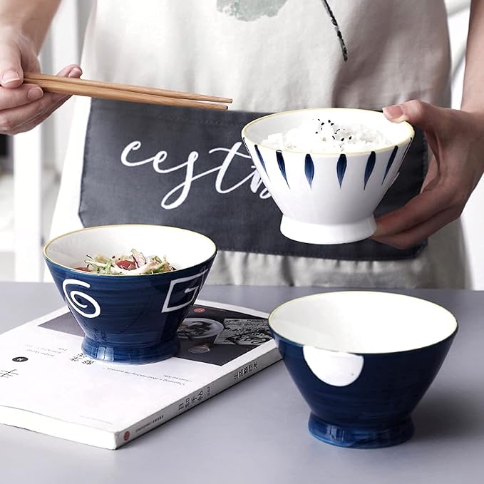 Dinnerware Set Japanese Style 4 Colors Includes 4-Piece Dinner Plates 4-Piece Salad Plates and 4-Piece Bowls24Pieces for 8A