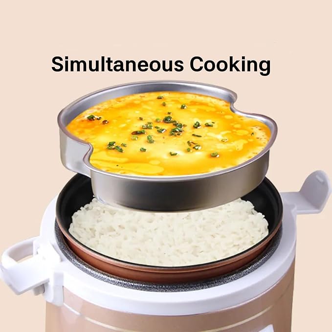 1.6L Rice Cooker 12V-24V Electric Lunch Box Manufacturer Multicooker Small Rice Stove for Car Truck RV Travel Camping Gold (1601)